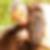 Profilbild von Michaela Wendt
