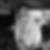 Profilbild von Manfred Lischka