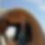 Profilbild von Till Strowig