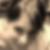 Profilbild von Esther Kittan
