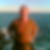 Profilbild von Torsten Hempel