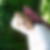 Profilbild von Stefan Woltering