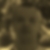 Profilbild von Michael Fensterer