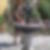 Profilbild von Frank Brose