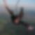 Profilbild von Dirk Starost
