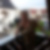 Profilbild von Silvia Rietschle