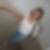 Profilbild von Birgit Bittner
