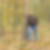 Profilbild von Joachim Arndt