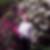 Profilbild von Rosemarie Starke