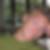 Profilbild von Philipp Grieger