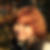 Profilbild von Doreen Reber