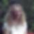 Profilbild von Susanne Kwietniewski