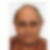 Profilbild von Rainer Sing