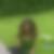 Profilbild von Sylvia Morrison