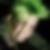 Profilbild von Jenny Schwanke