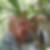 Profilbild von Carsten Barth