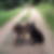 Profilbild von Thomas Techritz