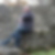 Profilbild von Michael Cohnen