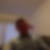 Profilbild von Thorsten Becker