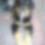 Profilbild von Frank Zintl