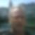 Profilbild von Hermann Krapf