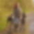 Profilbild von Andrea Bringe