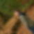 Profilbild von Thomas Werkhausen
