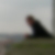 Profilbild von Michael Strobel
