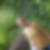 Profilbild von Nicole Stimpel