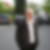 Profilbild von Thomas Pink