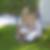Profilbild von Isabelle Franke