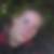 Profilbild von Hendrikje Lemke