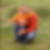 Profilbild von Sebastian Schuch