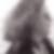 Profilbild von Jens Lindhorst