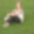 Profilbild von Katrin Hein