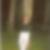Profilbild von Ines Löffler