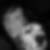 Profilbild von Steffi Herold