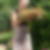 Profilbild von Gudrun Vogler