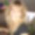 Profilbild von Daniela Weigant