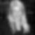 Profilbild von Cornelia Köhler