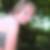 Profilbild von Anja Harks