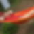 Profilbild von Andreas Gronewold