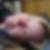 Profilbild von Elke Fischer