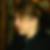 Profilbild von Inge Ziesche