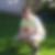 Profilbild von Tobias Unger