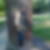 Profilbild von Siegfried Knoblich