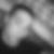 Profilbild von Florian Rauh