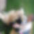 Profilbild von Anton Tisch
