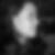 Profilbild von Steffi Weidner