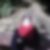 Profilbild von Jutta Friebe